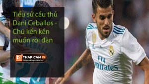 Tiểu sử cầu thủ Dani Ceballos - Chú kền kền muốn rời đàn