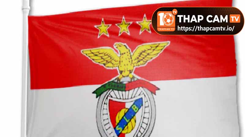 Chi tiết về Câu lạc bộ Bóng đá Lisbon và Benfica - Biệt danh Đại bàng