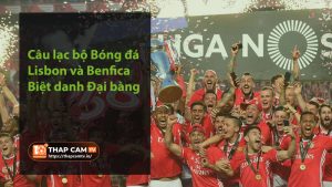 Câu lạc bộ Bóng đá Lisbon và Benfica - Biệt danh Đại bàng