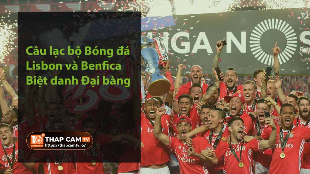 Câu lạc bộ Bóng đá Lisbon và Benfica - Biệt danh Đại bàng