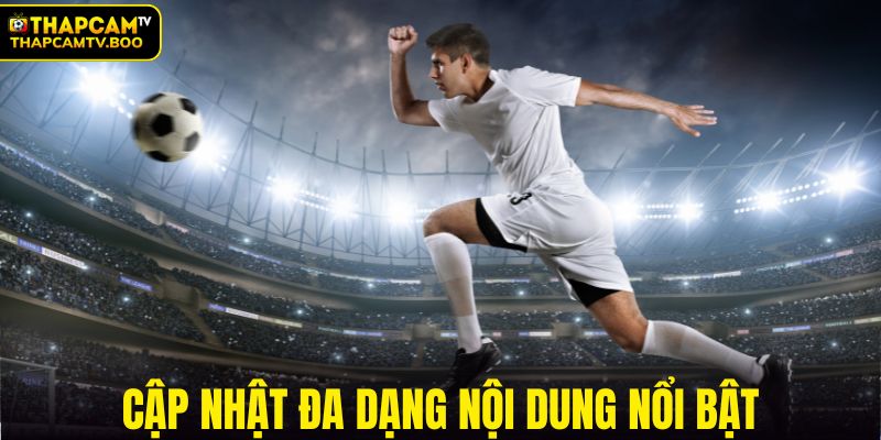 Chuyên mục cập nhật đa dạng nội dung nổi bật