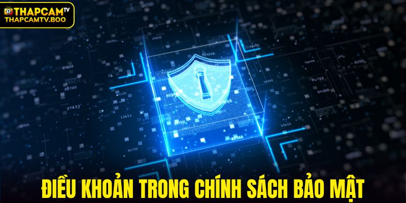 Điều khoản trong chính sách bảo mật của THAPCAMTV