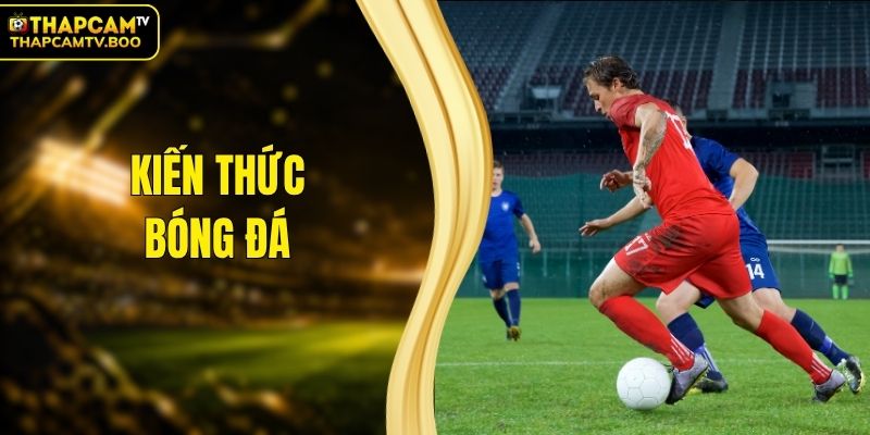 Kiến Thức - Chuyên Mục Cập Nhật Các Thông Tin Hữu Ích