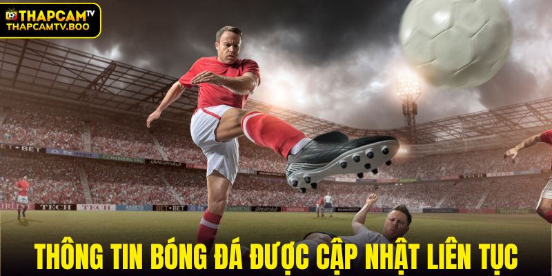 Thông tin bóng đá được cập nhật thường xuyên
