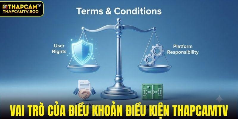 Vai trò của điều khoản điều kiện THAPCAMTV